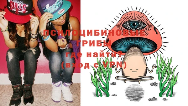 хмурый Липки