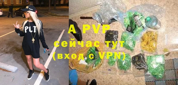 хмурый Липки