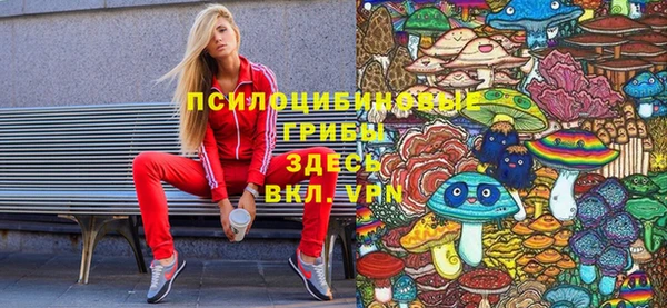 дурь Лихославль
