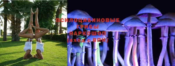 хмурый Липки