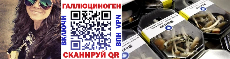 Галлюциногенные грибы Magic Shrooms  Купить закладки  Рузаевка 