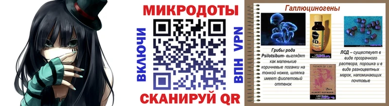 Псилоцибиновые грибы Psilocybe Рузаевка